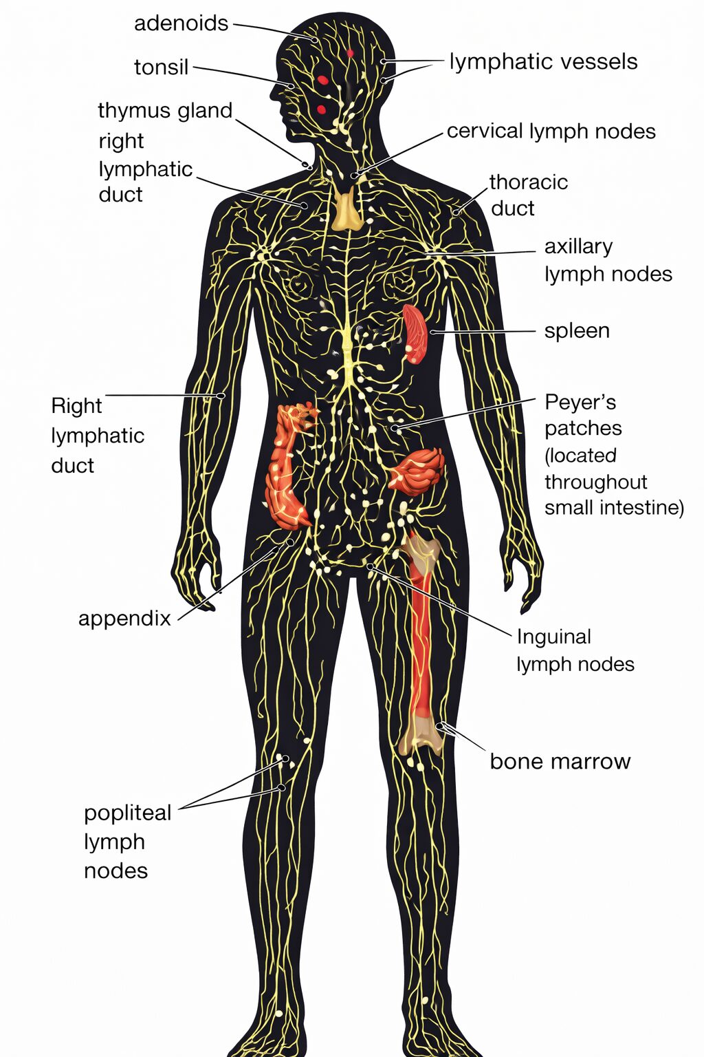 Home Page 5 c251be5d bcd4 4c40 9203 719404a6626b